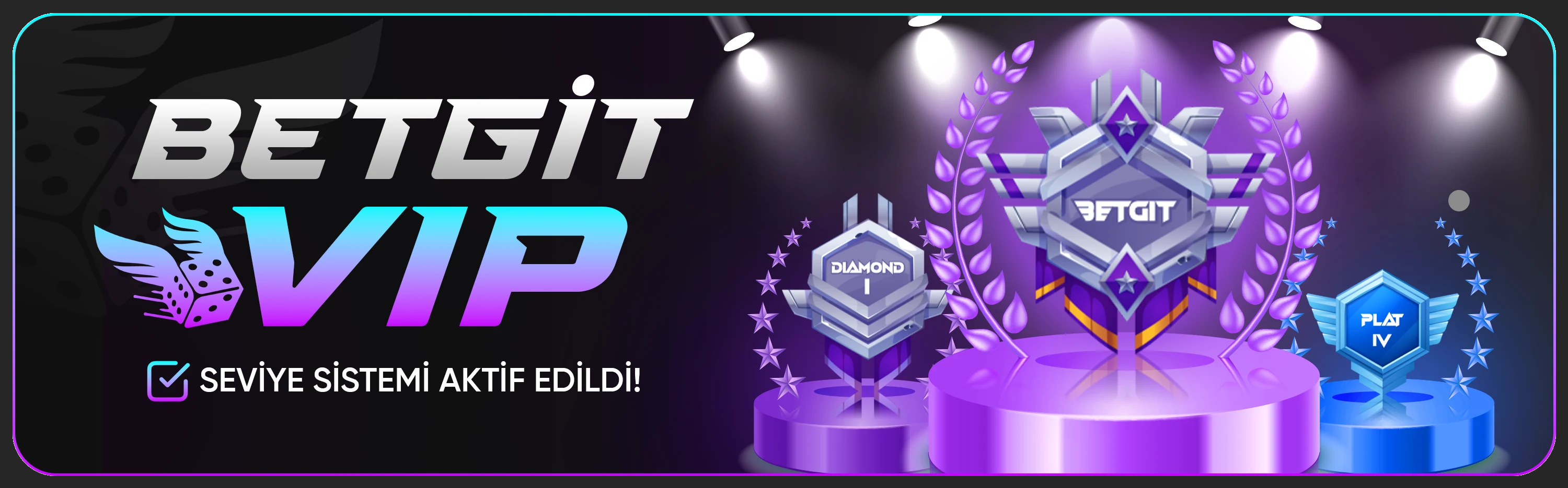 bannerImage