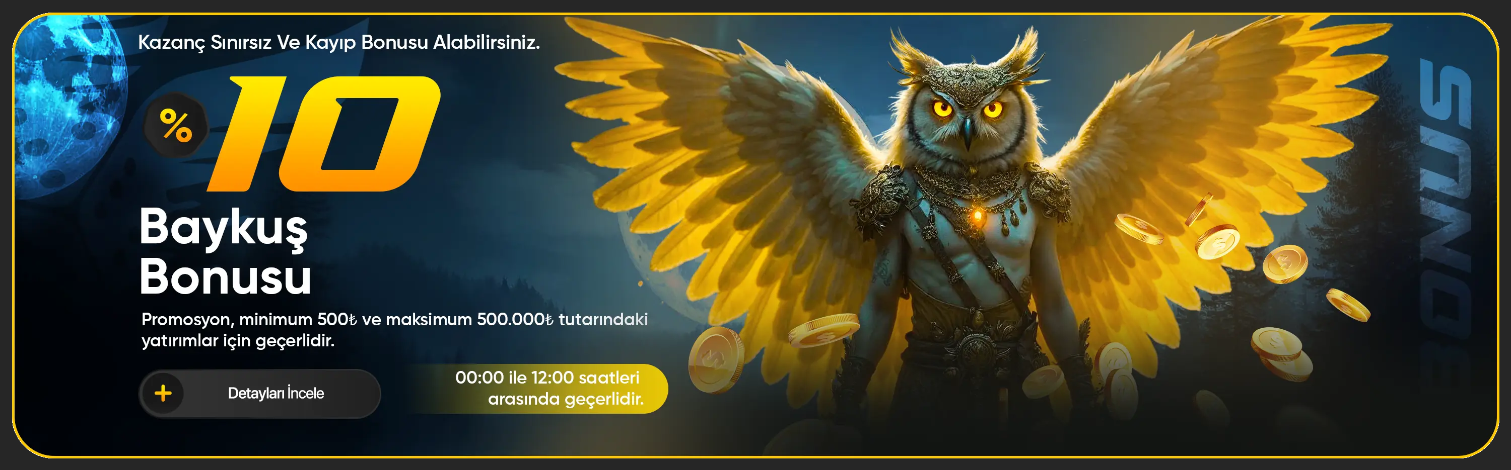 bannerImage