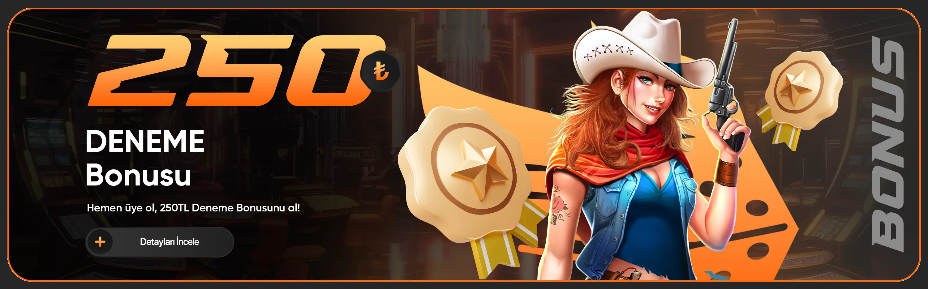 bannerImage