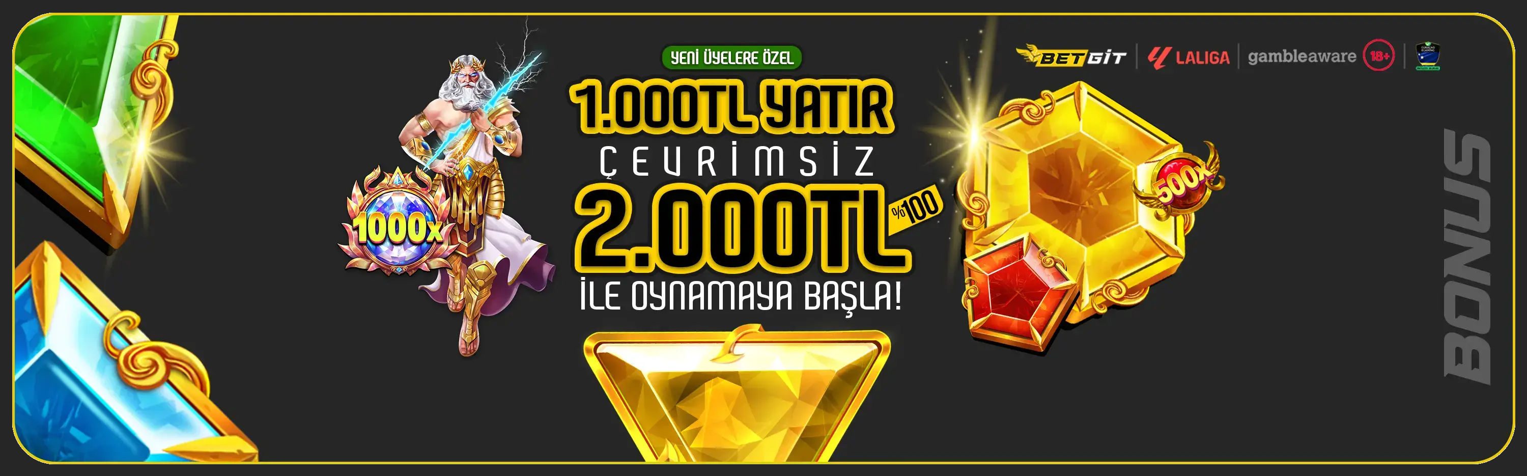 bannerImage